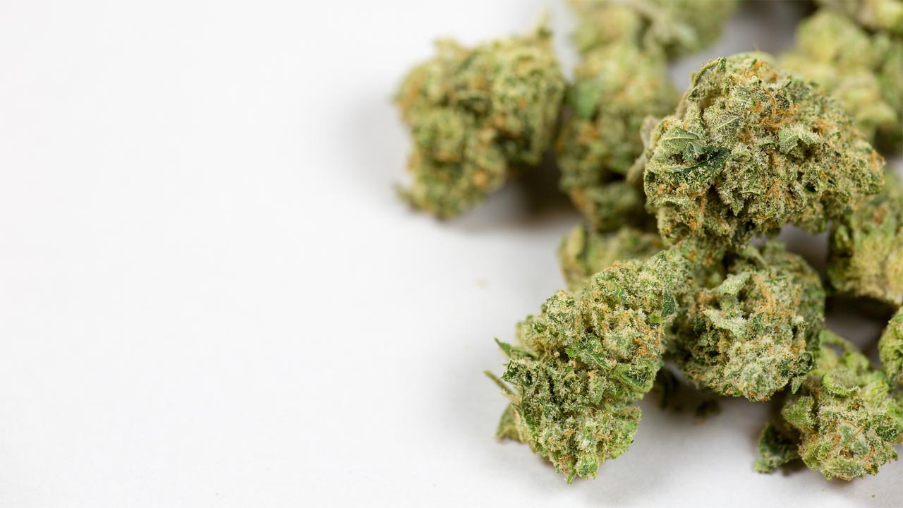 Medicinal Cannabis Project And Research